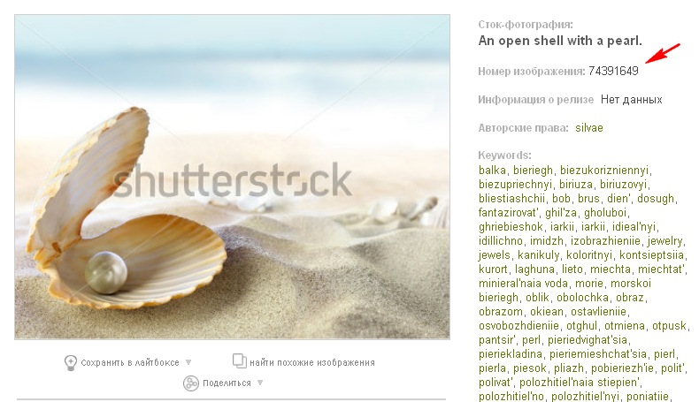 Номер изображения на сайте shutterstock